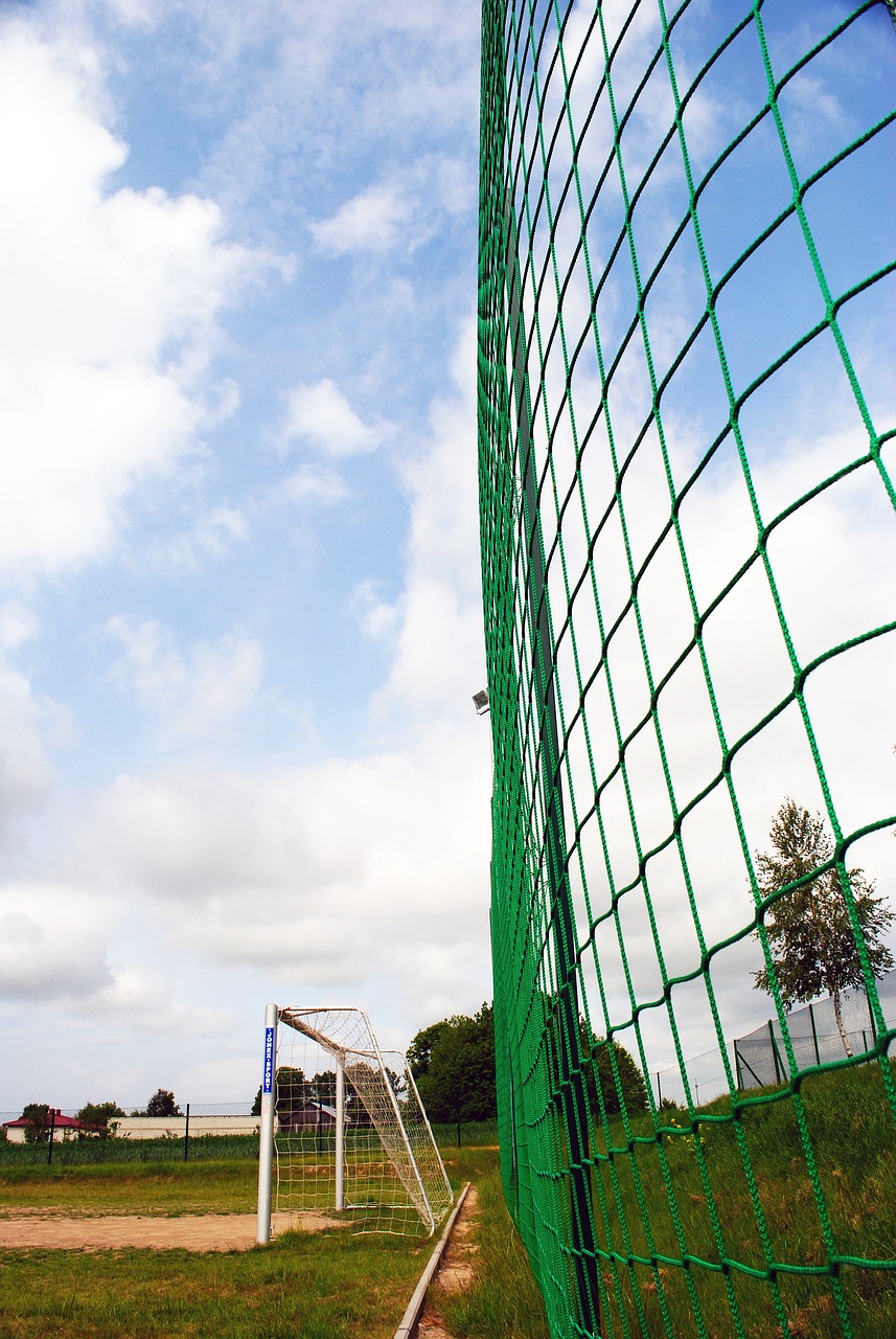 培養新秀為 培養新秀為