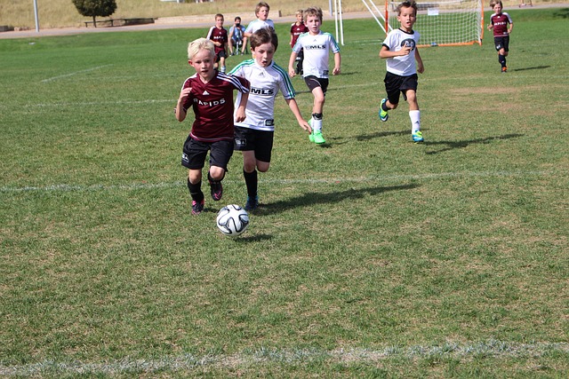 富邦磨練小 富邦磨練小