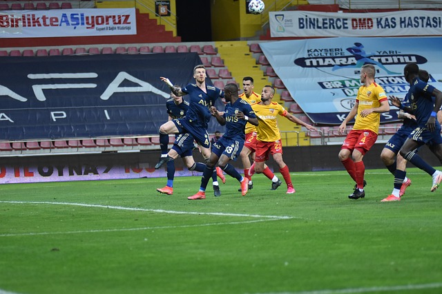 鹰茶研学指 鹰茶研学指