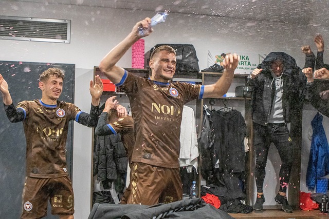 不仅证明了 不仅证明了