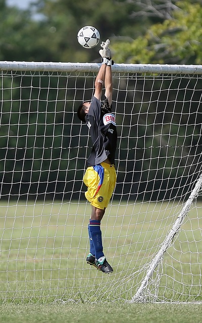 他的整个职 他的整个职