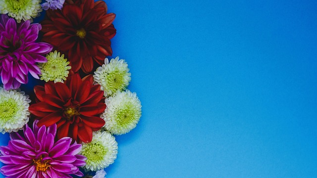 并籍此进一 并籍此进一