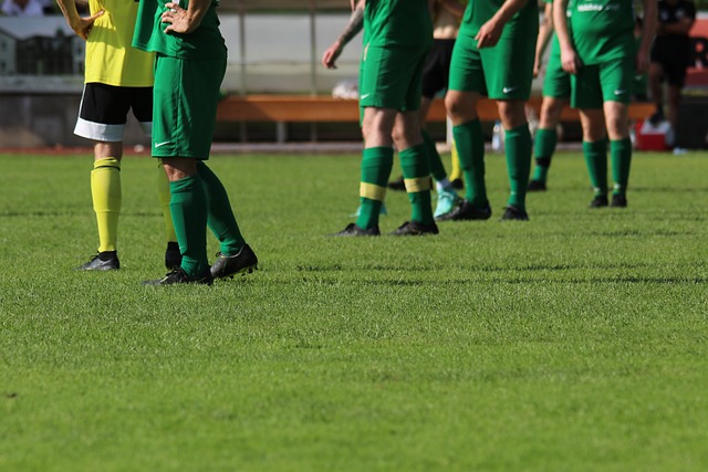 的优雅表现 的优雅表现