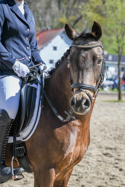 球员发挥 球员发挥