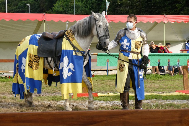 这为比赛增 这为比赛增